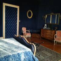 Suite Myosotis