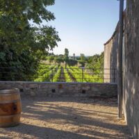 Domaine DéCalage