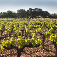 Domaine DéCalage