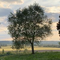 Vue du domaine