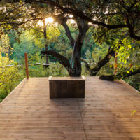 Terrasse avec vue sur forêt et Vidourle