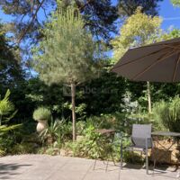 Terrasse arrière