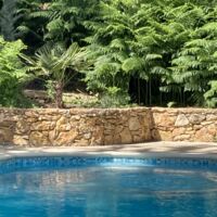 La piscine en été