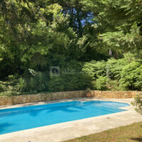 La piscine en été