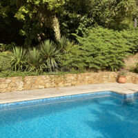La piscine en été