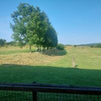 Colibri Events