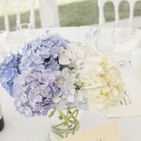 Château Les Noës Blanches - Le Mans