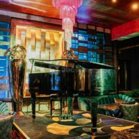 Animation Piano Live