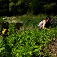 Permaculture