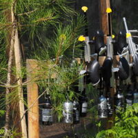 Paint ball