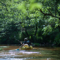 Canoë sur la Leyre