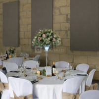 Château des Dauphins