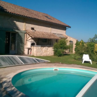 Les Vignes