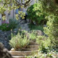 Jardin