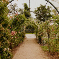 Arche des roses