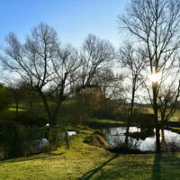Etang