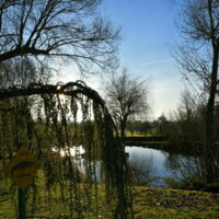 Etang