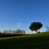 Parc