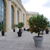 Le Palais Beaumont
