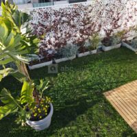 Plantes 1