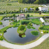 Etang
