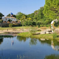Etang avec vu mas