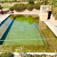 Piscine naturelle