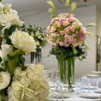 Le Salon Plessis