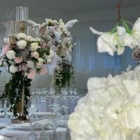 Le Salon Plessis