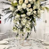 Le Salon Plessis