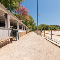 Haras de la Buissonne