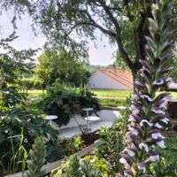 Vue sur une terrasse