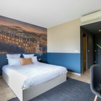 Chambre les toits de Paris