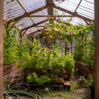 Potager