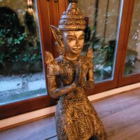 Salle de yoga statue