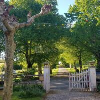 Domaine Las Bouzigues