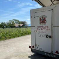 Environnement extérieur, vignes