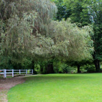 Le Manoir de Tigeaux