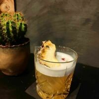 Cocktail création