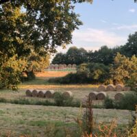 Hameau la Muraillère