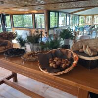 Hôtel Parc & Spa les Cigognes Albé