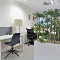 Open space