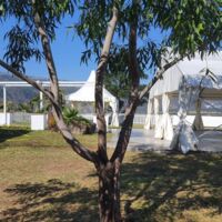 Domaine Paul & Virginie