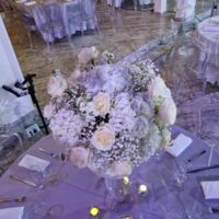 Le Palacio Reception