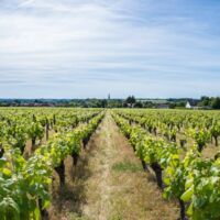 Domaine de Loséa
