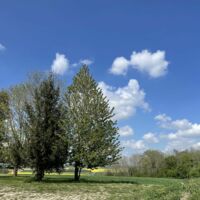 Le Domaine le Saint Léonard