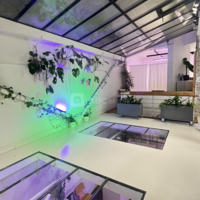 Loft sous verrière