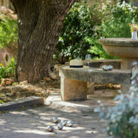 Pétanque