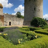 Château de Nesles