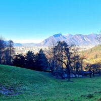 Parc du Château de Montavie